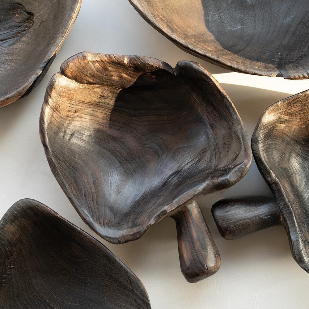 The Camphor Wood Fruit Handled Tray (14 x 9 x 11 in) features unique, organic shapes and a rich dark wood grain, arranged on a light surface with natural sunlight casting gentle shadows.